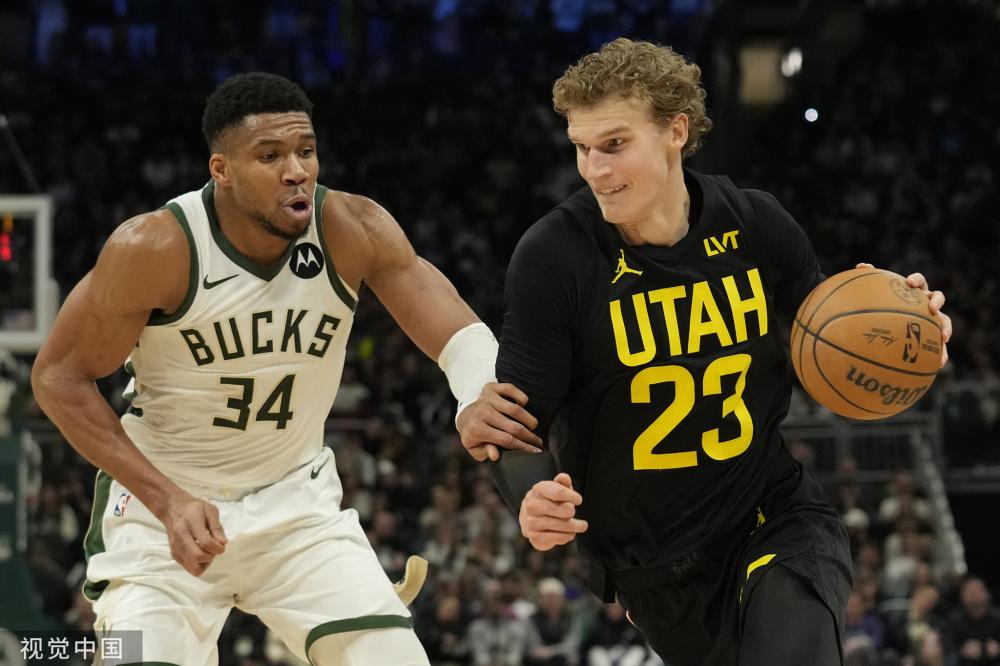 缺乏严格的 缺乏严格的