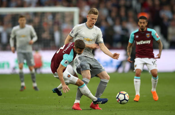 森林狼为特 森林狼为特