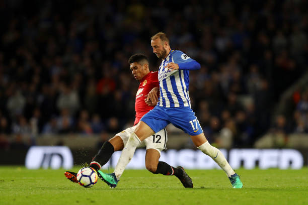 森林的潜在 森林的潜在