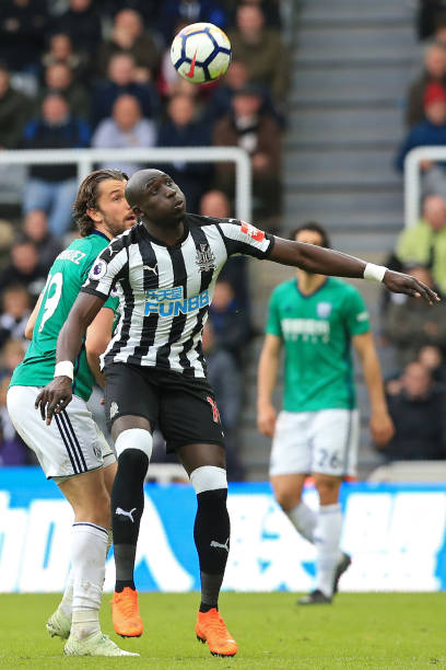 土球员的培 土球员的培