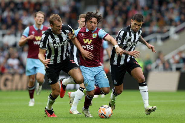 张颜齐亦是 张颜齐亦是